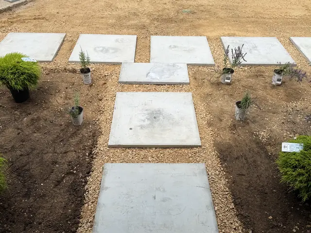 Slab walk stepping out to the drive