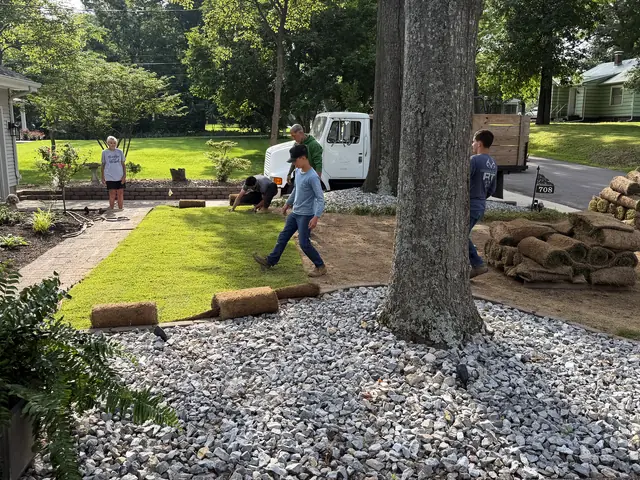 Pallet sod part-laid across a prepared yard beside a rock bed